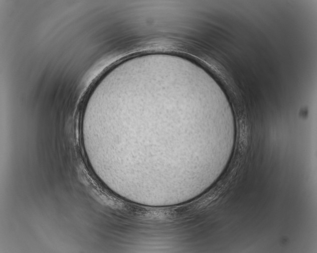 X0000115731078200912101446