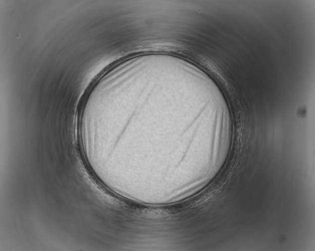 X0000115731079200912101446