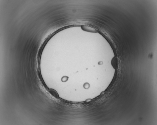 X0000115731080200912101446