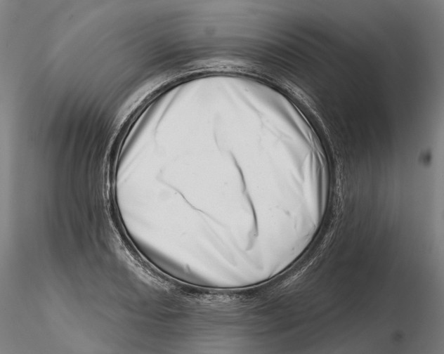 X0000115731082200912101446