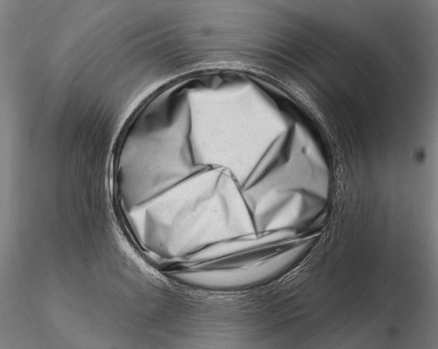 X0000115731084200912101446