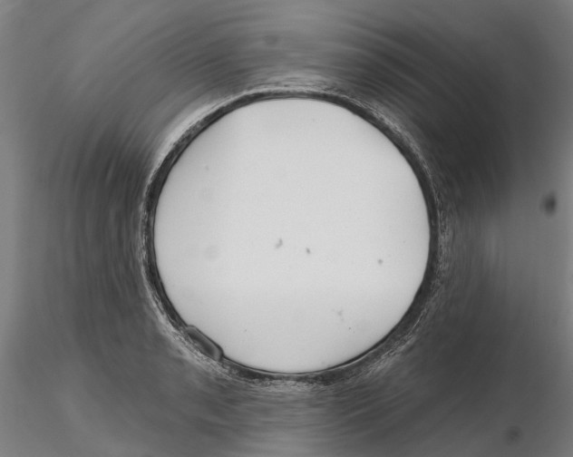 X0000115731085200912101446