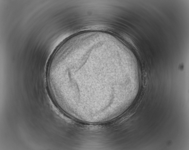 X0000115731087200912101446