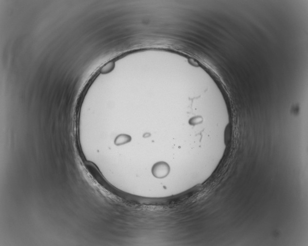 X0000115731088200912101446