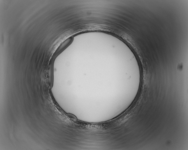 X0000115731089200912101446
