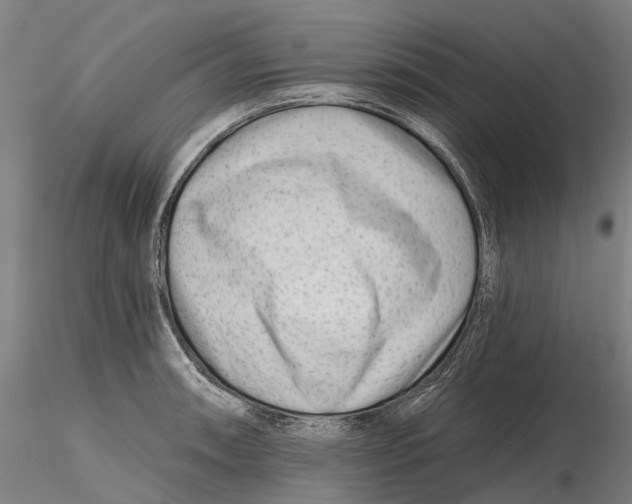X0000115731090200912101446