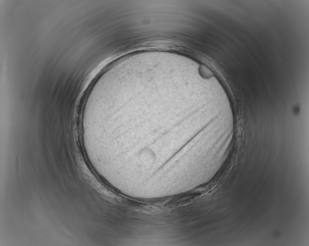 X0000115731091200912101446