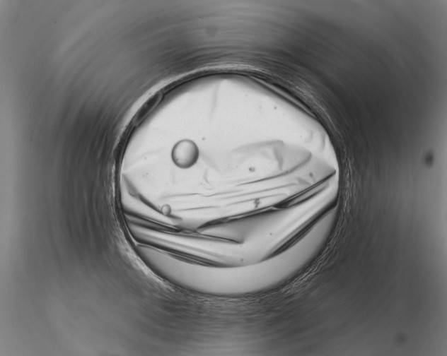 X0000115731092200912101446
