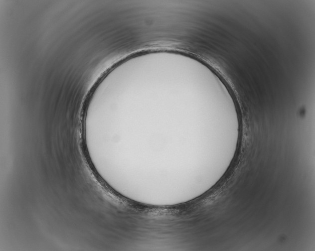 X0000115731093200912101446