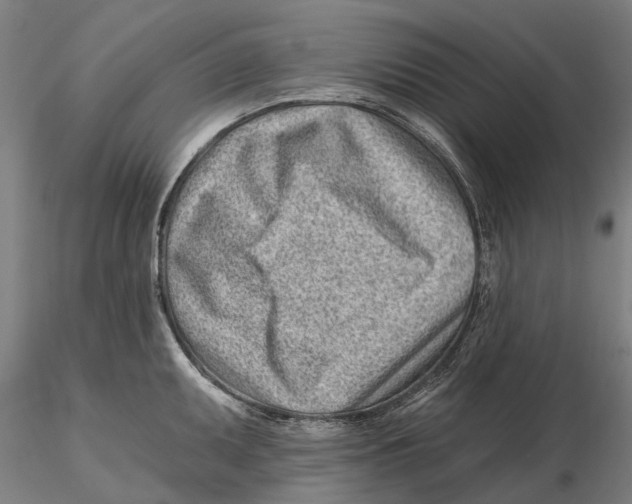 X0000115731095200912101446