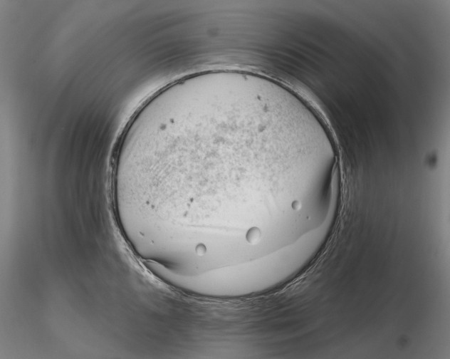 X0000115731096200912101446