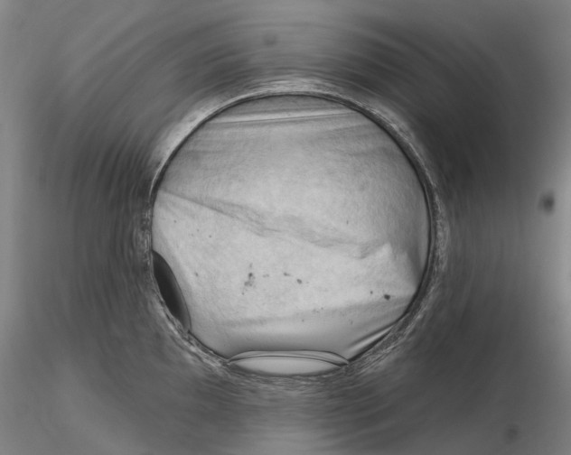 X0000115731097200912101446