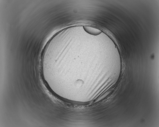 X0000115731099200912101446
