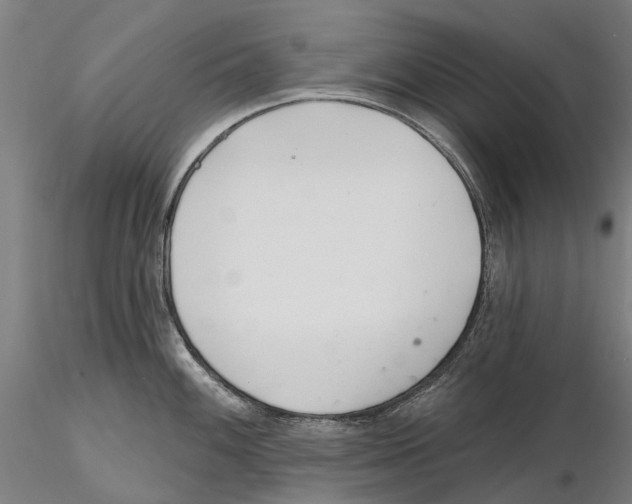 X0000115731100200912101446