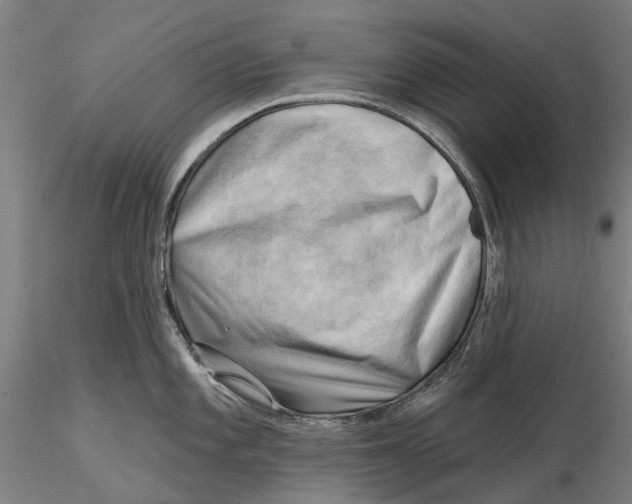 X0000115731101200912101446