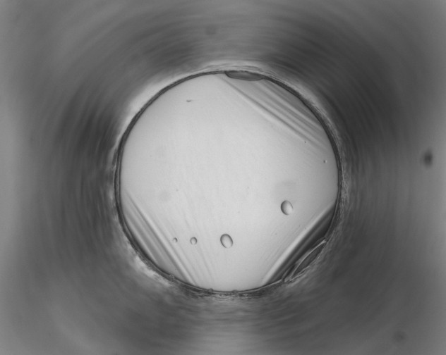 X0000115731102200912101446