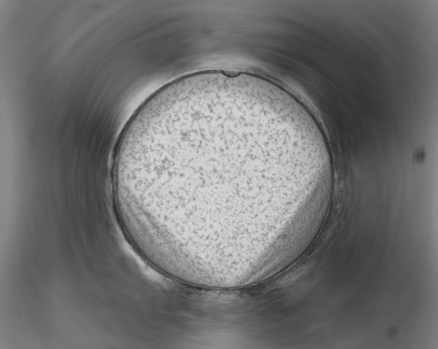X0000115731103200912101446