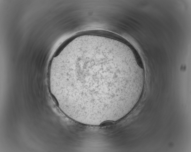 X0000115731104200912101446