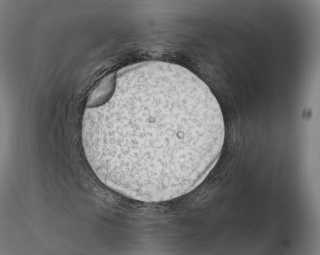 X0000115731105200912101445