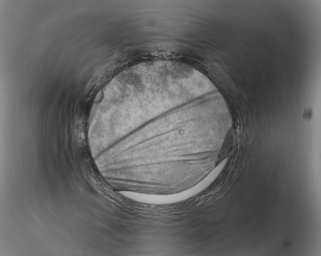 X0000115731106200912101445