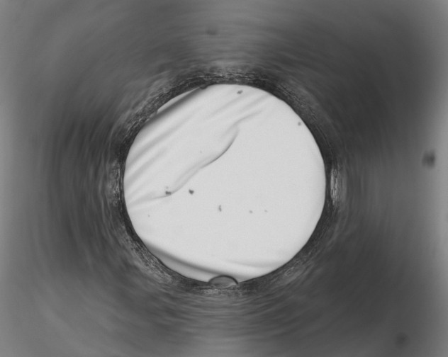 X0000115731107200912101445