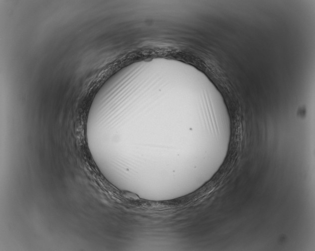 X0000115731109200912101445