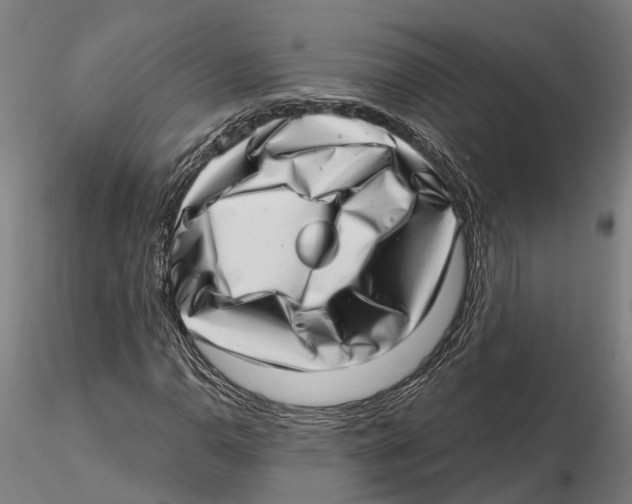 X0000115731110200912101445