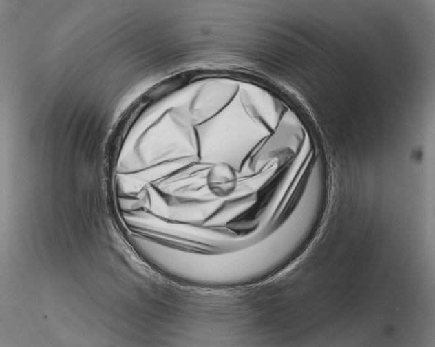 X0000115731114200912101445