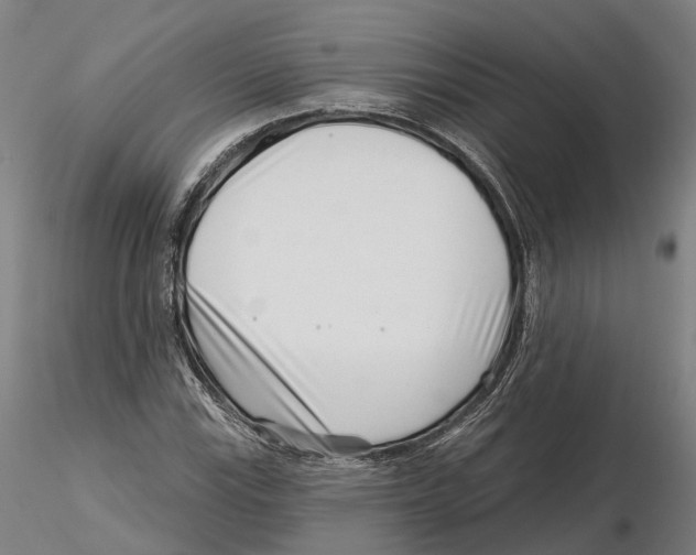 X0000115731115200912101445