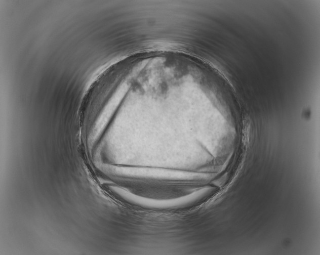 X0000115731117200912101445