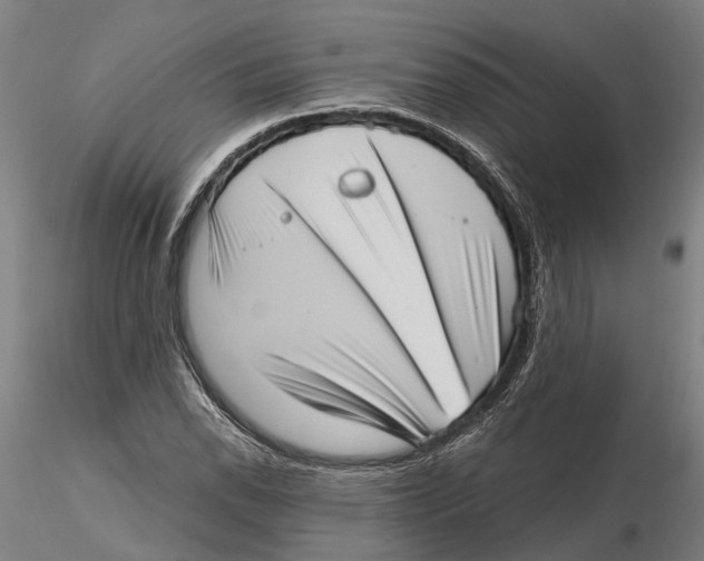 X0000115731118200912101445