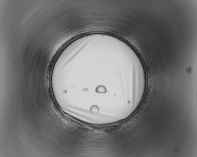 X0000115731119200912101445