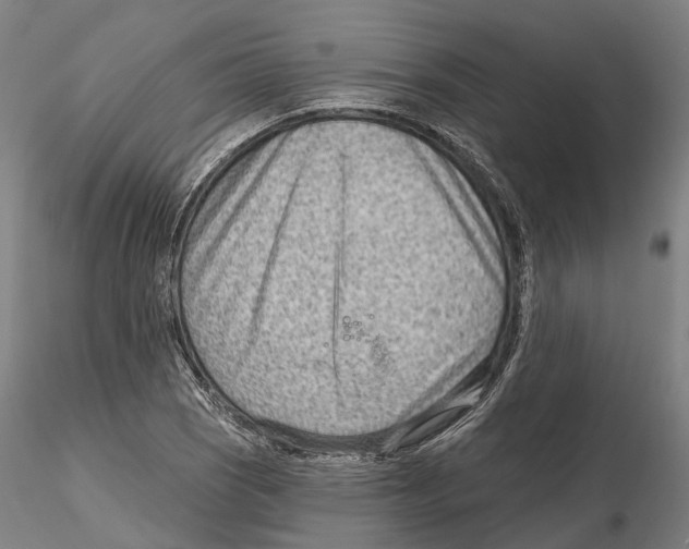 X0000115731121200912101445