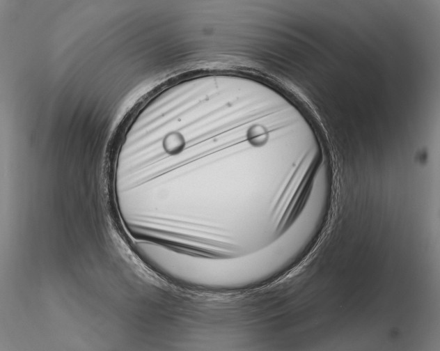 X0000115731122200912101445