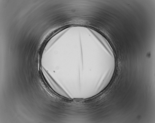 X0000115731123200912101445
