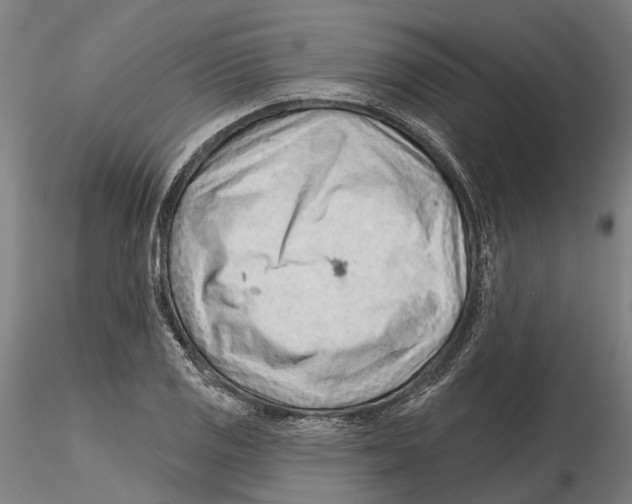 X0000115731125200912101445