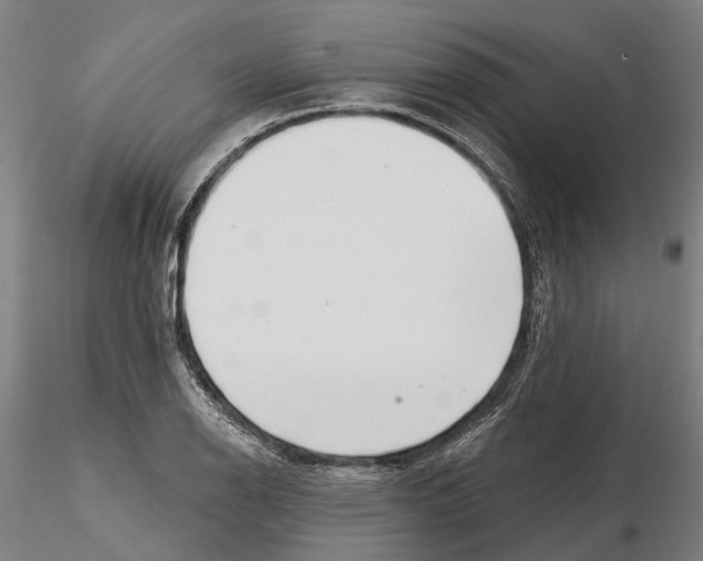 X0000115731126200912101445
