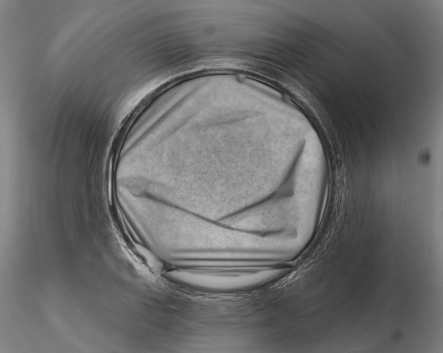 X0000115731127200912101445