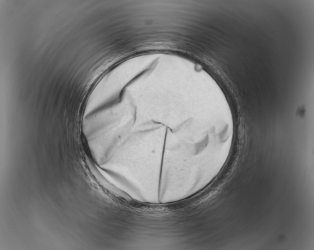 X0000115731129200912101445