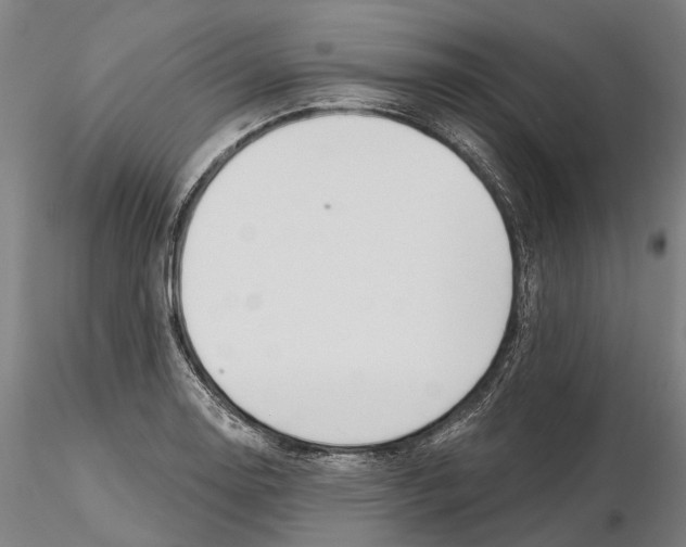 X0000115731130200912101445