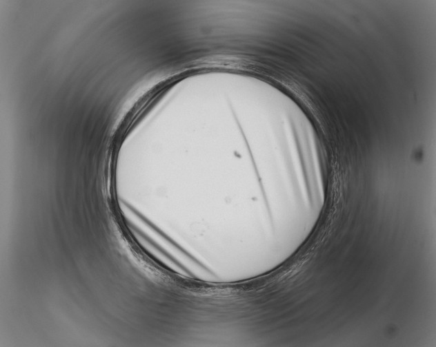 X0000115731131200912101445