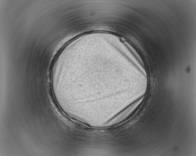 X0000115731133200912101446
