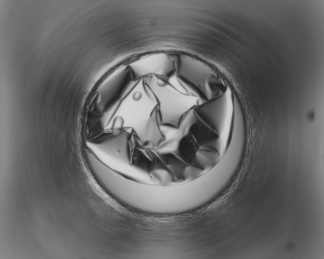 X0000115731134200912101446