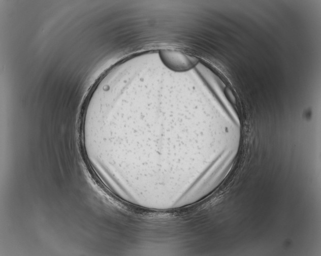 X0000115731135200912101446