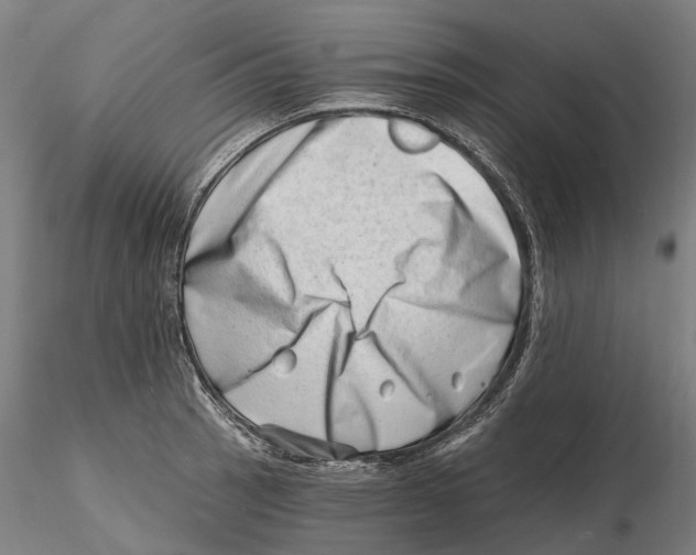 X0000115731137200912101446