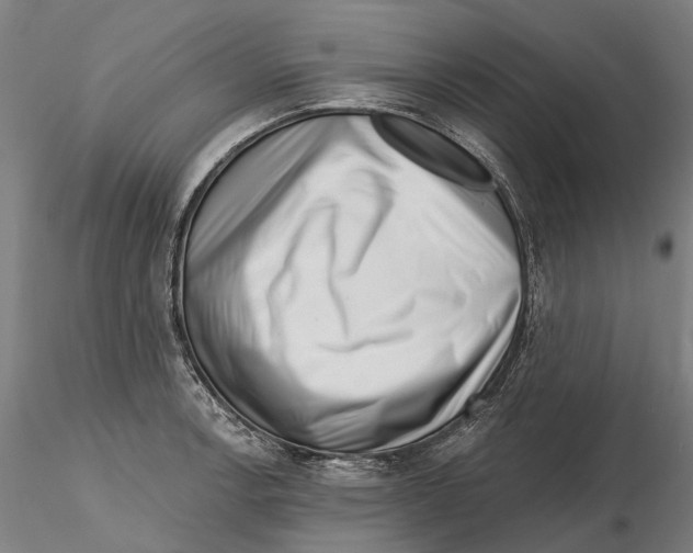 X0000115731138200912101446