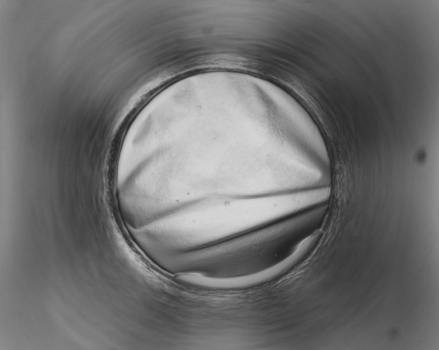 X0000115731139200912101446