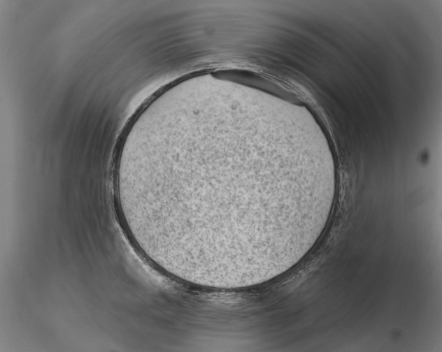 X0000115731141200912101446