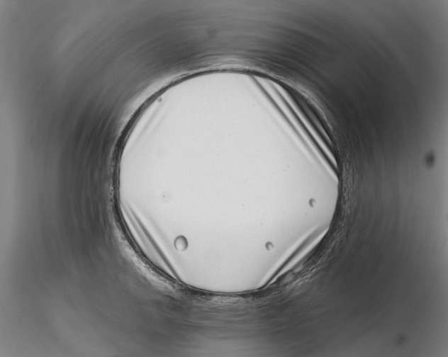 X0000115731142200912101446