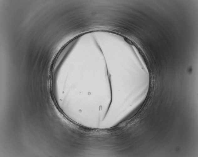 X0000115731143200912101446